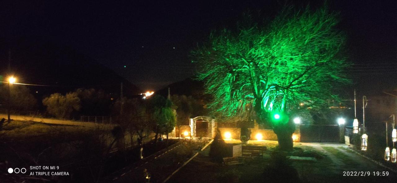 Ioannis - Zimmer mit Zugang zu Terrasse Gavrolimni Exterior foto